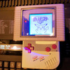 ポケモンはじめました♪♪