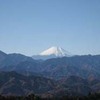 勝俣部長の「高尾登山と健康体質作り」４４４････虜(ﾄﾘｺ)になる