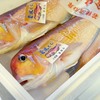 2018年10月20日　小浜漁港　お魚情報