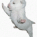 昨日になる今日