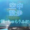 リハビリ日記～流れゆく日々