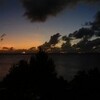 ハタタテシノビハゼ。。。