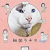 猫も、オンダケ