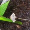  朝昨日の続きの脱水干してから降らね内に燃料調達