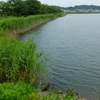 津賀池（三重県鈴鹿）