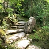 【京都】宝泉院②　宝楽園の枯山水庭園｜庭園めぐり