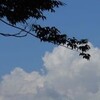 雲のうた（２）