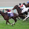 11.20(日)　競馬　マイルチャンピオンシップとか