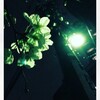 『生きてることには意味がある』