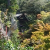 色づき始め「那谷寺」