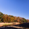 大妻嵐山中学・高校の公開研究会に行ってきました