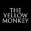 ざわ・・・ざわ・・・「天 天和通りの快男児」ドラマ化　主題歌「天道虫」THE YELLOW MONKEY