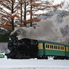 【2017/11/05】短篇・たまには雪中ナロー蒸機でも…