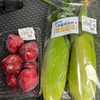 またまた訪問