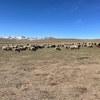 モンゴル夫婦旅　モンゴル旅行初めての方へ。行程や持ち物の紹介