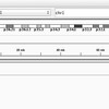 IGV (Integrative Genomic Viewer)を使ってみる