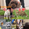 1月24日（月）『ゆったり清瀬』テーマは…あにまるわーるど🐶