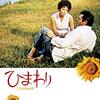 『ひまわり』(1970)　ヴィットリオ・デ・シーカ：監督