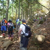 大山　紅葉まだでも登山客にぎわう