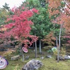 【京都】東福寺塔頭・勝林寺、秋の特別拝観へ。紅葉と花手水、御朱印も美しい！（東山区・御朱印）