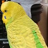 ３月１日の相場を見てみたよ　チュン