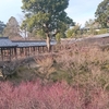 東福寺　即宗院 2016.1