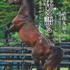 一口馬主でオープン馬を探せ