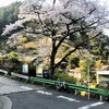 羽村堰〜奥多摩 🚴‍♂️