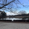 昭和記念公園