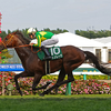 日曜競馬　展望