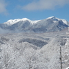 湿った雪