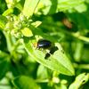道南探索で出会った生き物