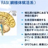 ブレイン・プログラミング