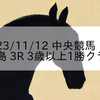 2023/11/12 中央競馬 福島 3R 3歳以上1勝クラス
