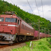 2024/10/05 1063レ EF81 404号機