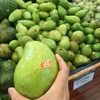 【セブ旅】アヤラモールのスーパーでわくわくお買い物