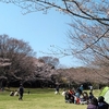 桜　香澄公園