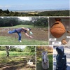 「眺望、遊び、学び・・・ 小牧野遺跡楽しむ」※2018年9月19日（水）掲載（東奥日報夕刊：明鏡欄⑥）