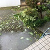 台風の暴風で・・・　o|｀┏ω┓´|ﾉ_彡☆ﾌﾞｰﾌﾞｰ!!