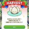 無料で商品が貰えるお得な育成ゲーム！！カウシェファーム🌱