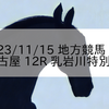 2023/11/15 地方競馬 名古屋競馬 12R 乳岩川特別(C)
