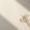 予防接種受けていきました