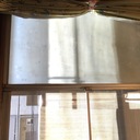 お昼寝が好き