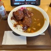 すき家のポークロックカレー食べてきた！