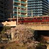 桜花賞HMや7000Fの今津線準急を撮影～宝塚南口付近にて_26/04/08