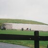 アイルランドの巨大古墳、ニューグレンジへ