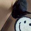 にんにく注射の思い出