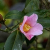 今日から3月