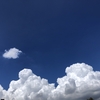 【家計】7月の電気代。節電に成功していた！その節約術。