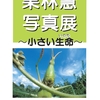 佐世保店 栗林慧写真展〜小さい生命〜 開催✨